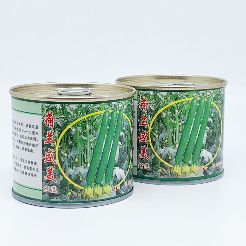荷兰盛美中绿丝瓜种子长油皮丝瓜45-50厘米油亮长香丝瓜