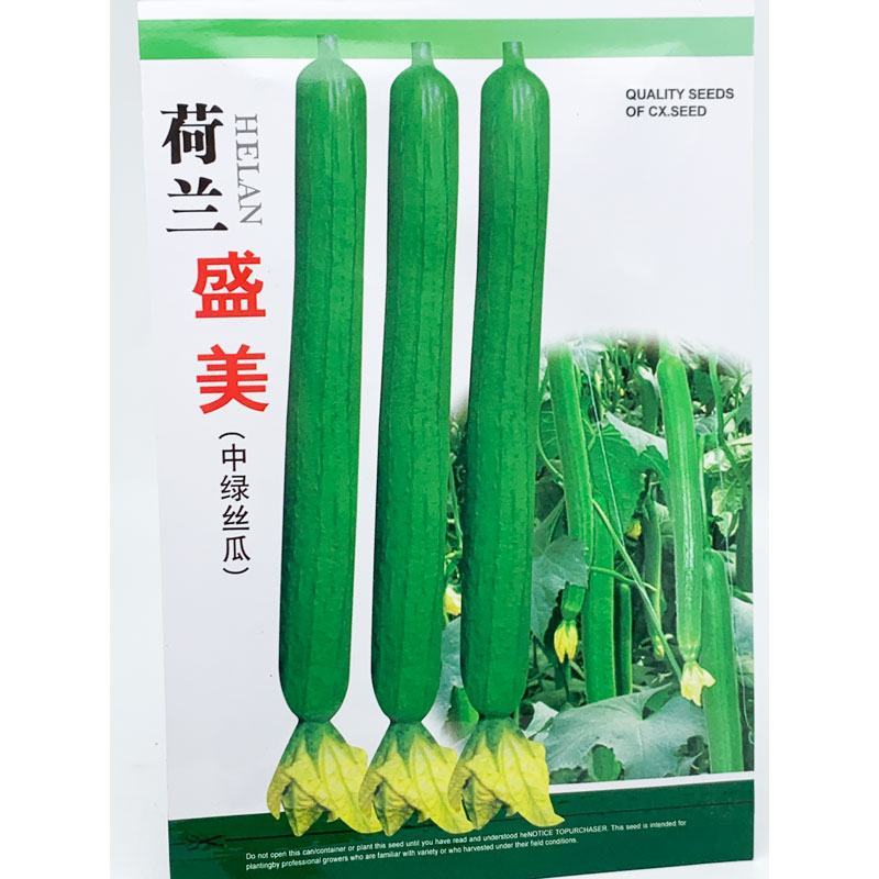 荷兰盛美中绿丝瓜种子长油皮丝瓜45-50厘米油亮长香丝瓜
