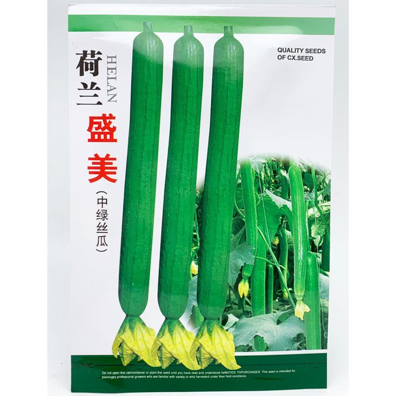 荷兰盛美中绿丝瓜种子长油皮丝瓜45-50厘米油亮长香丝瓜