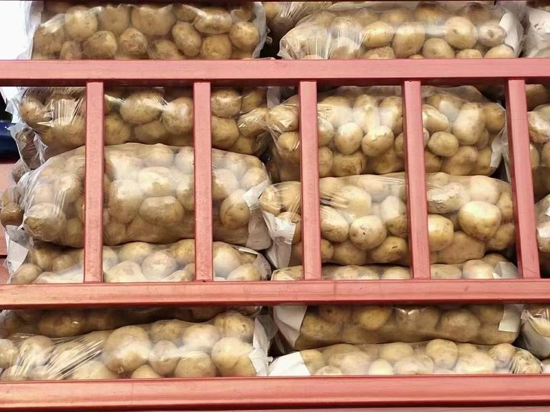 湖北精品黄心土豆新鲜上市一手货源品质保证量大从优