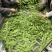 精品荷兰豆甜豆拉丝甜豆大量供应优质货源视频看货质量保障
