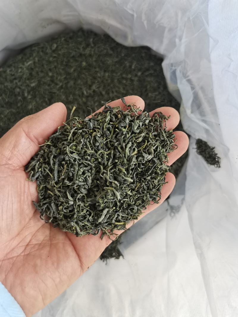 陕西汉中绿茶。午子仙毫茶。
