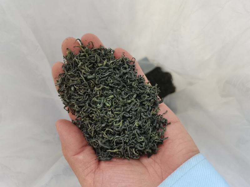 陕西汉中绿茶。午子仙毫茶。