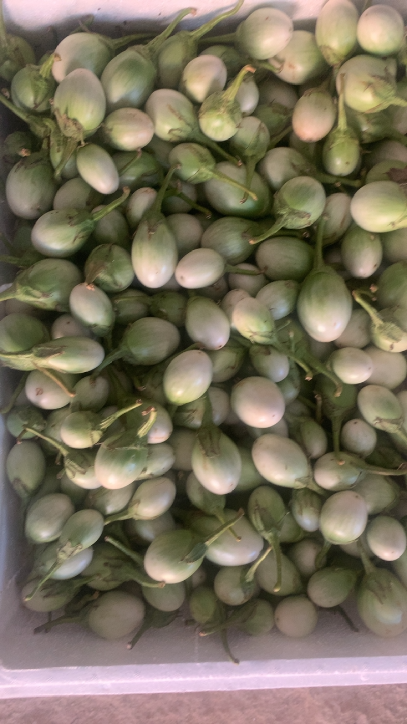 泰国元茄咖喱茄子小茄子冬阴功茄