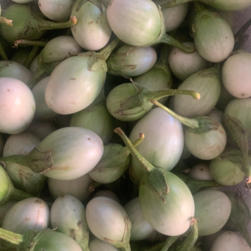 泰国元茄咖喱茄子小茄子冬阴功茄