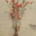 铁杆海棠苗盆栽花卉庭院植物日本海棠花苗大红花海棠贴梗海棠