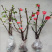 铁杆海棠苗盆栽花卉庭院植物日本海棠花苗大红花海棠贴梗海棠