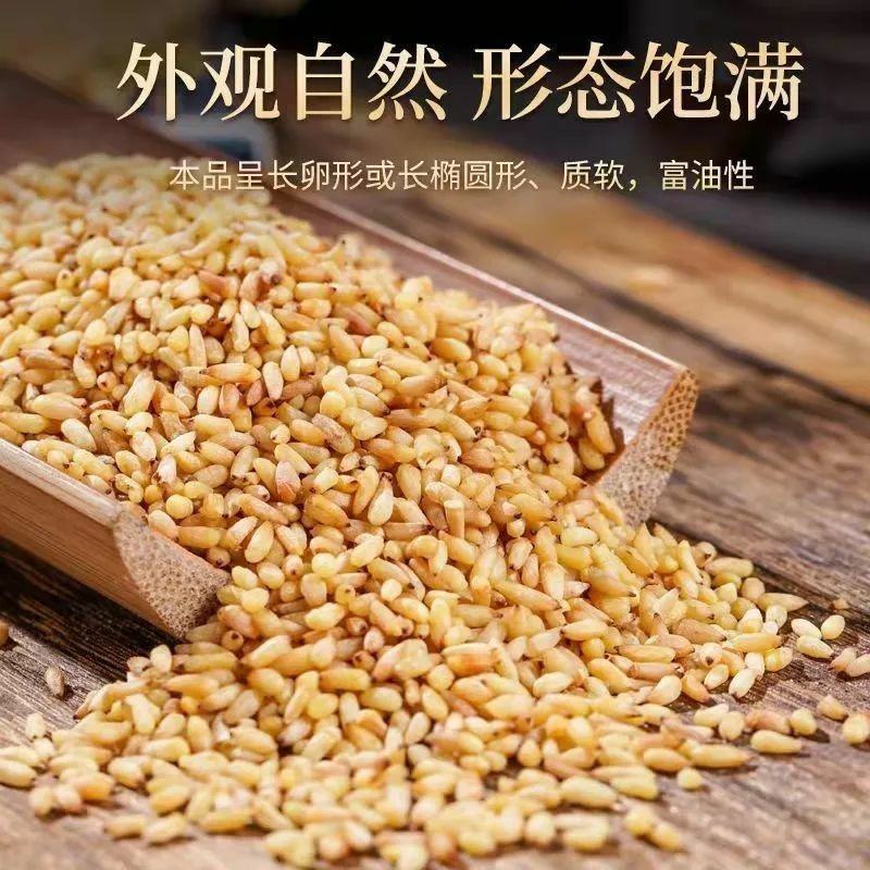 柏子仁去皮柏子仁柏子茶一公斤起批不包邮