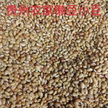 贵州特产农家自种懒豆米饭豆米巴山豆竹豆小豆米五谷2斤装