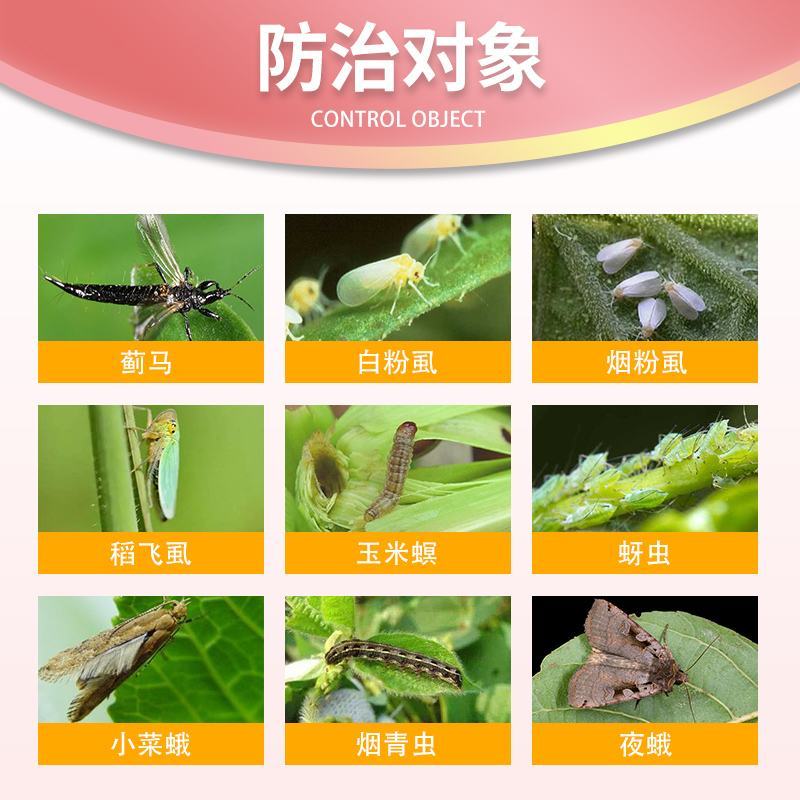 25%噻虫嗪蔬菜果树药材花卉蓟马蚜虫盲蝽象飞虱杀虫剂