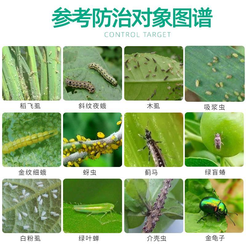 25%噻虫嗪蔬菜果树药材花卉蓟马蚜虫盲蝽象飞虱杀虫剂