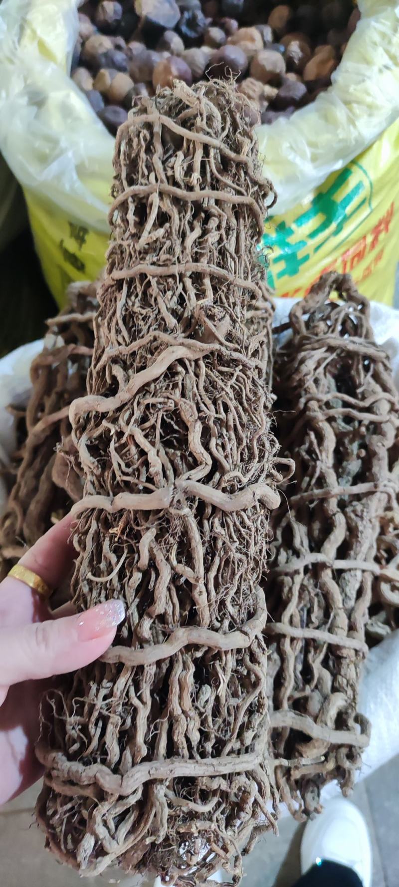 通城虎根～新货量大优惠～1公斤起售~诚信合作~
