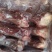 后棒骨