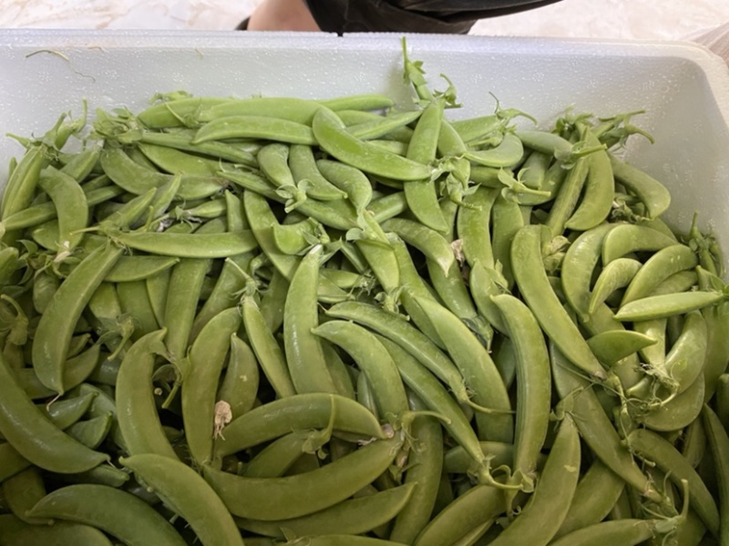 甜豆珍宝豆小颊豆鲜嫩饱基地直供当季新鲜货全国发货品质保证