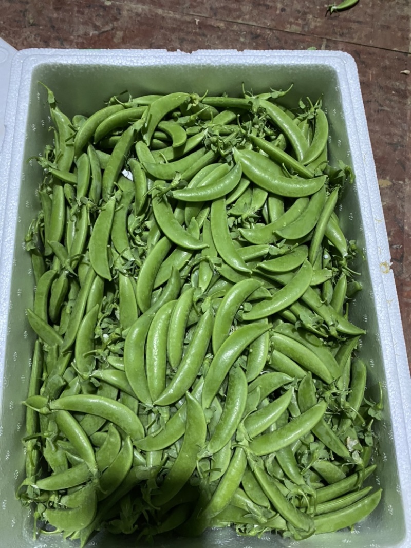 甜豆珍宝豆小颊豆鲜嫩饱基地直供当季新鲜货全国发货品质保证