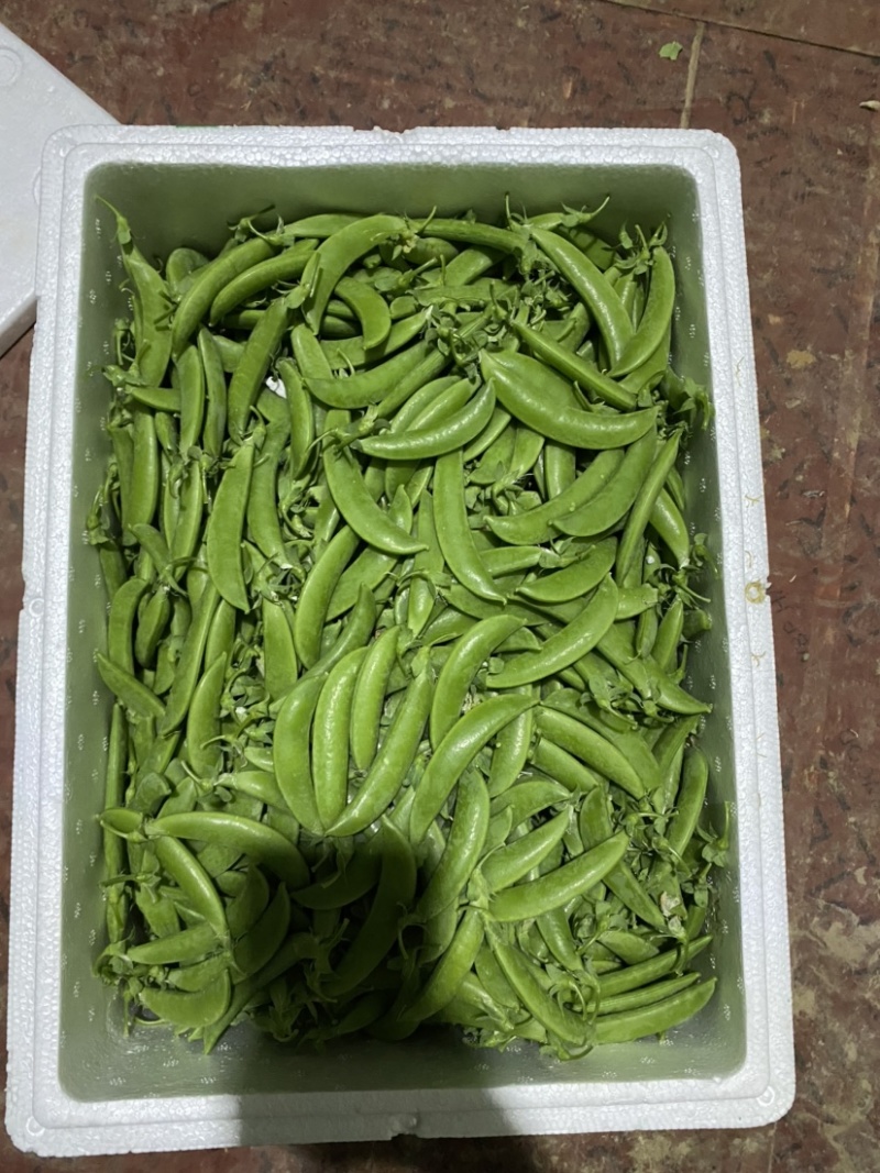 甜豆珍宝豆小颊豆鲜嫩饱基地直供当季新鲜货全国发货品质保证
