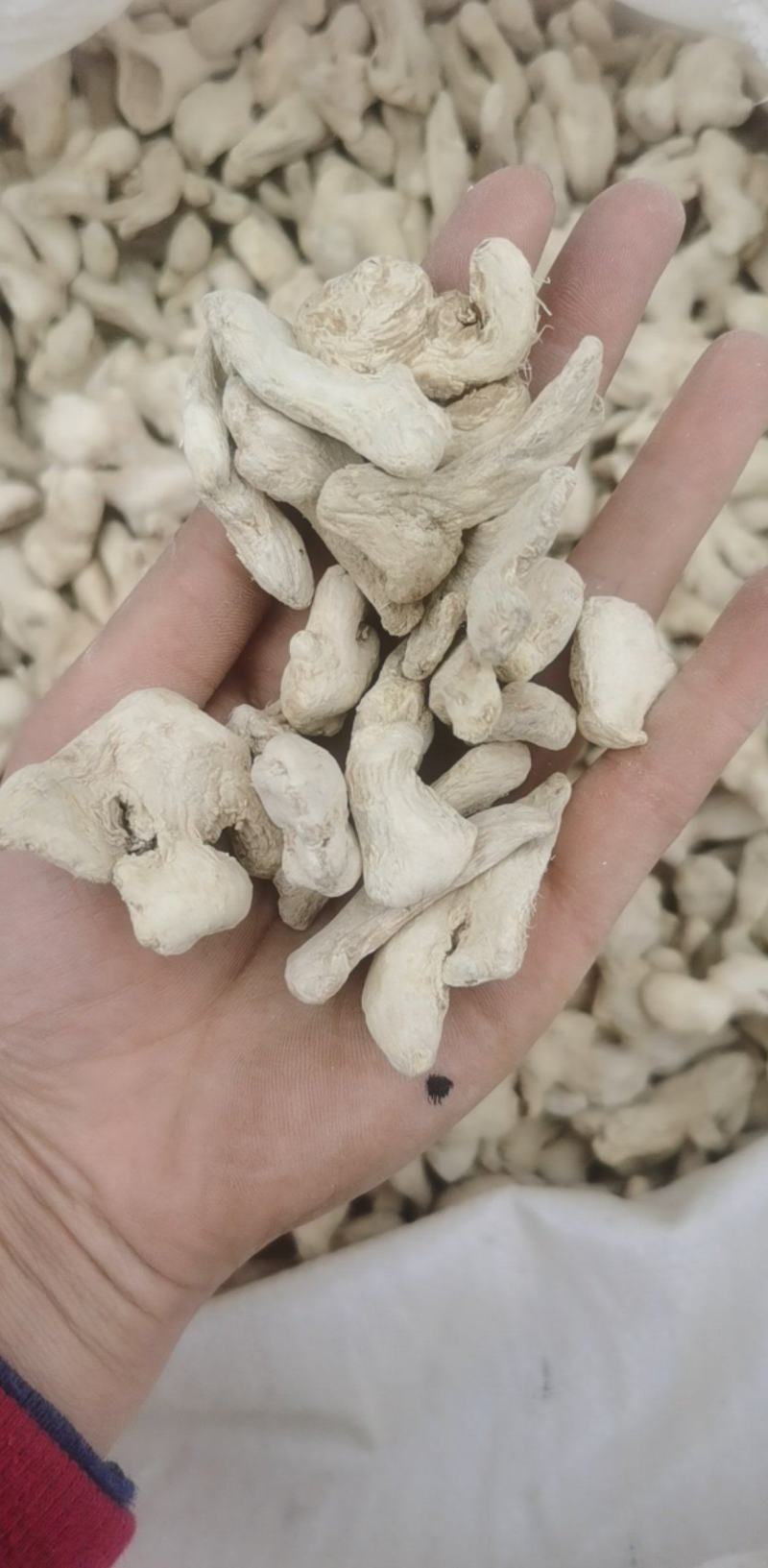 振兴药材批发供应干姜个规格齐全产地直供一手货源全国发货