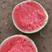 江苏美都西瓜头茬无籽直升苗大量上市，有需要联系！