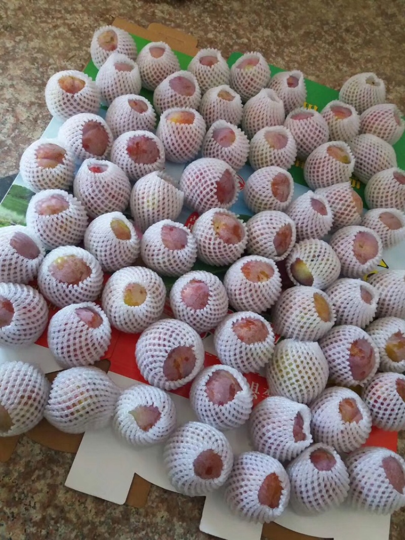 福建特产水果，芙蓉李