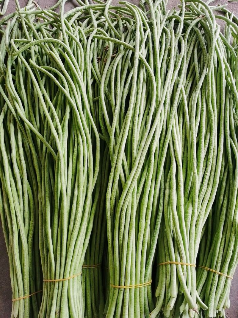 安徽芜湖江北大棚缸豆，又青又长，无绣，无虫眼