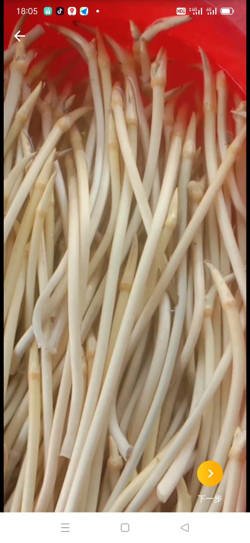 精品藕带