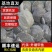 网红麻辣甲鱼批发，卤甲鱼0.3一1斤规格，全国发货