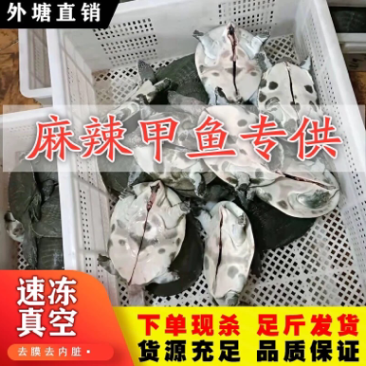 网红麻辣小甲鱼批发，宰杀好发货，量大从优，大小规格齐全