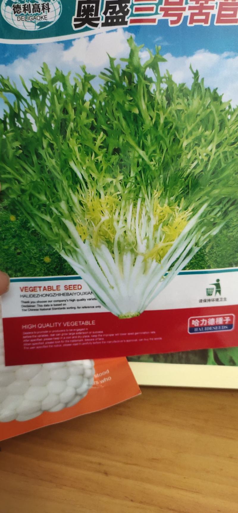 苦苣种子奥盛三号苦叶色浓绿，叶缘缺刻多深裂味略苦