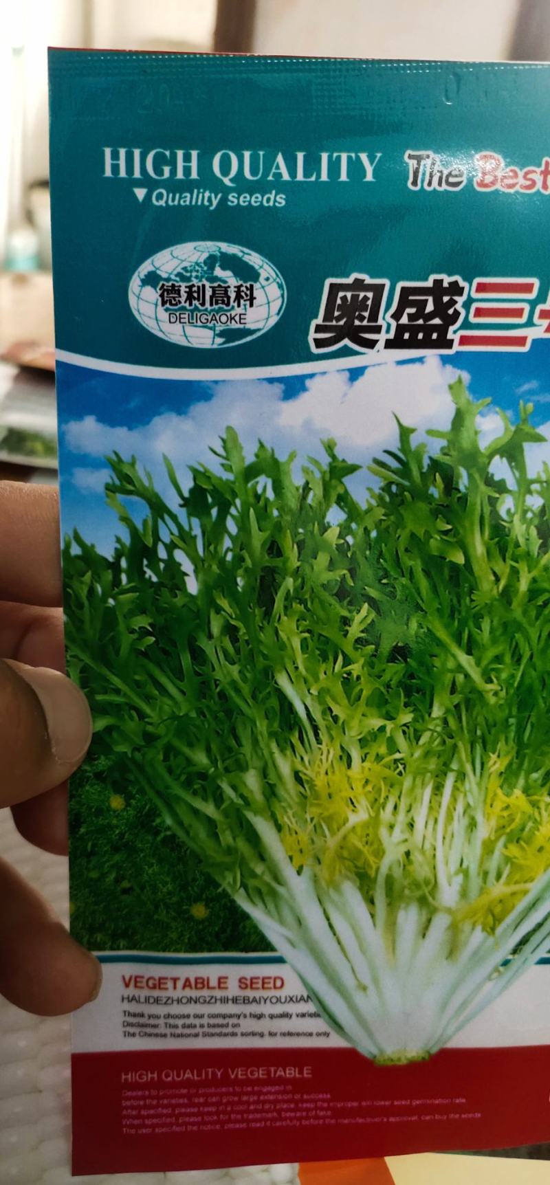 苦苣种子奥盛三号苦叶色浓绿，叶缘缺刻多深裂味略苦