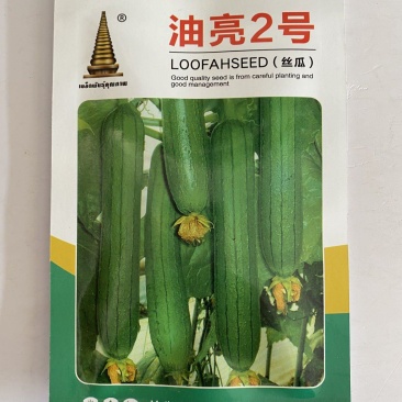 满棚喜绿油2号短棒油皮丝瓜种籽高产春秋油皮香蕉丝瓜种子包