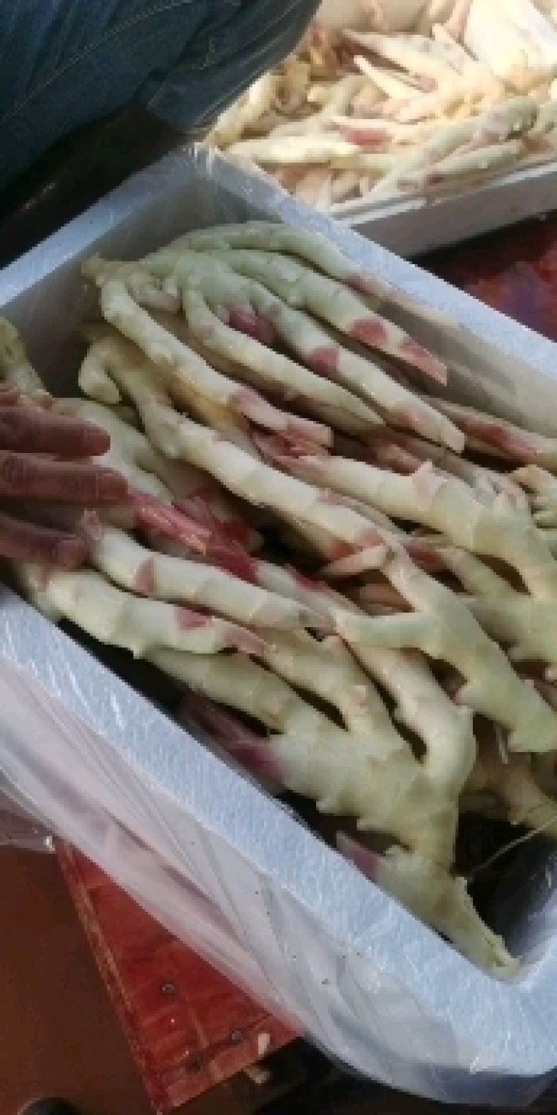 子姜