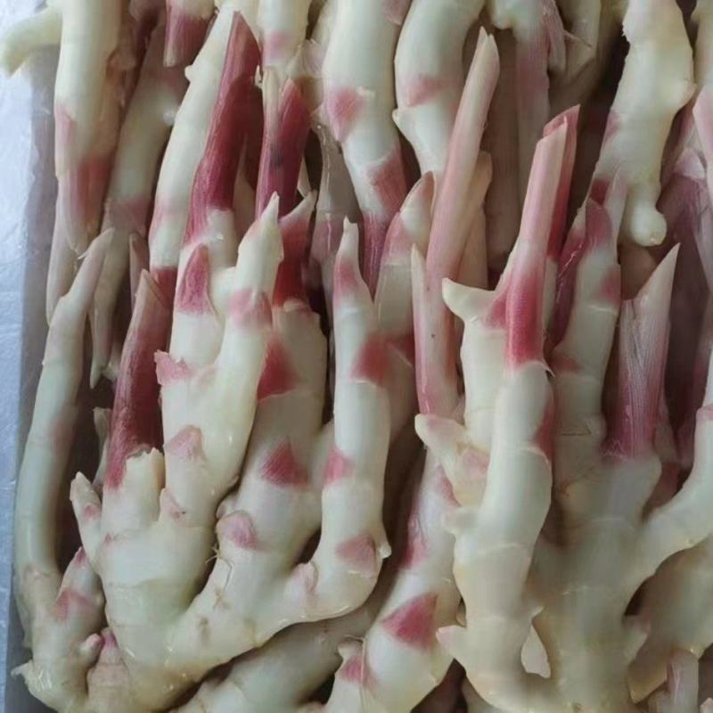 子姜