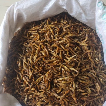 小黄鱼鱼干