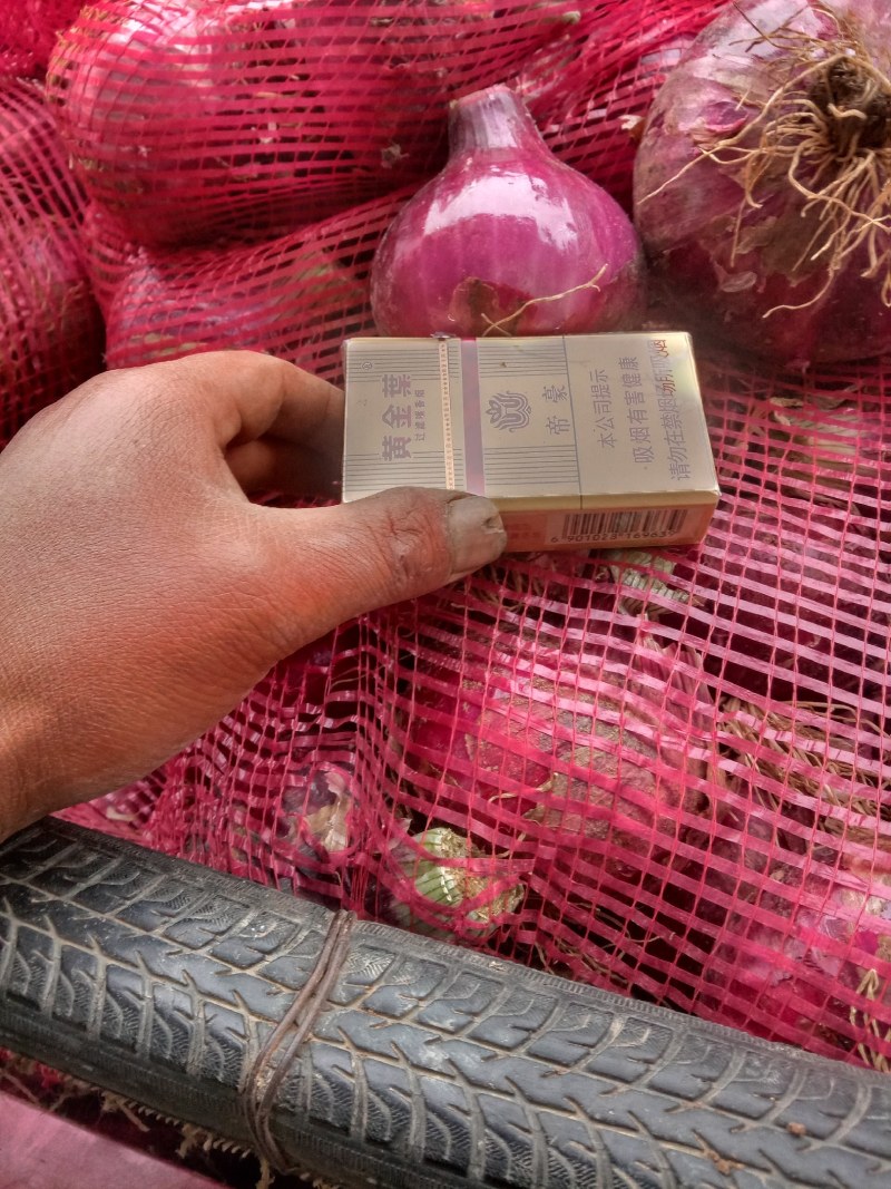 紫皮扁洋葱