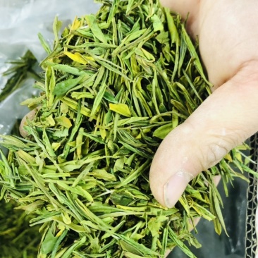 茶片白茶片2026年新毛峰白茶片饭店用茶