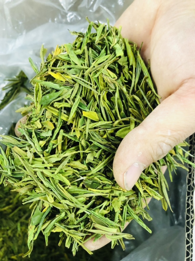 茶片白茶片2026年新毛峰白茶片饭店用茶