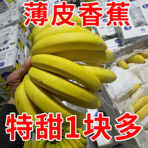 云南香蕉一件5斤10斤支持个大平台新鲜现摘