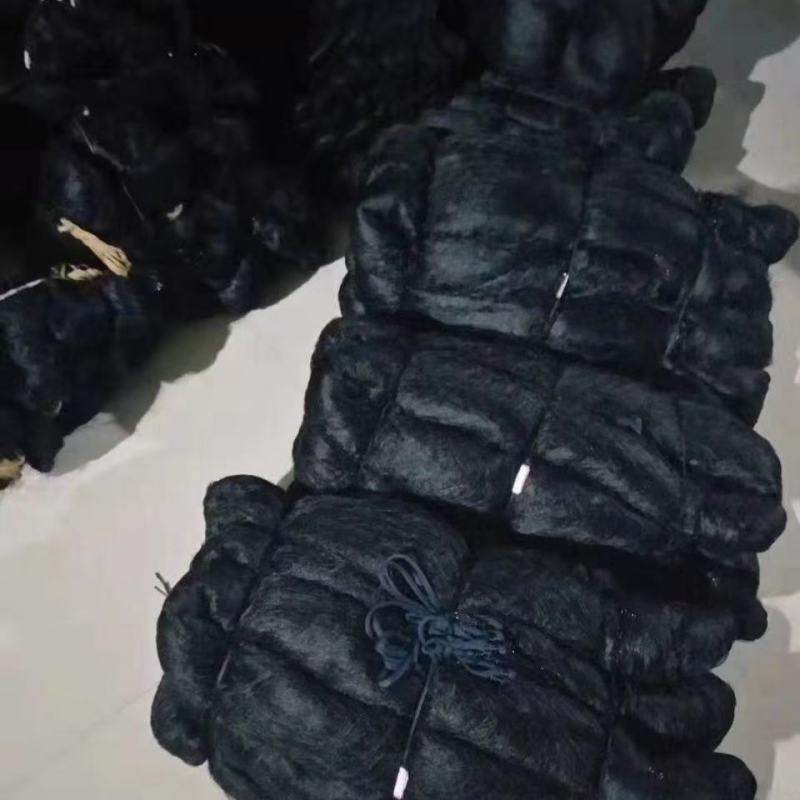 鸟网鸽子网斑鸠网夜游网