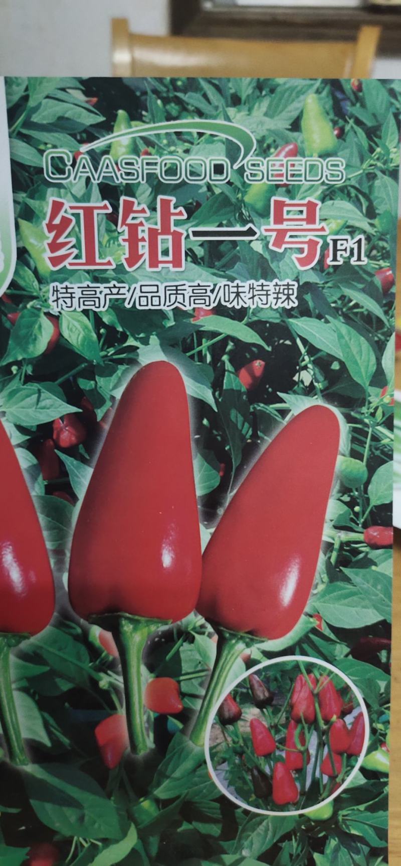 辣椒种子红钻一号，品质高/味特辣，抗病性强