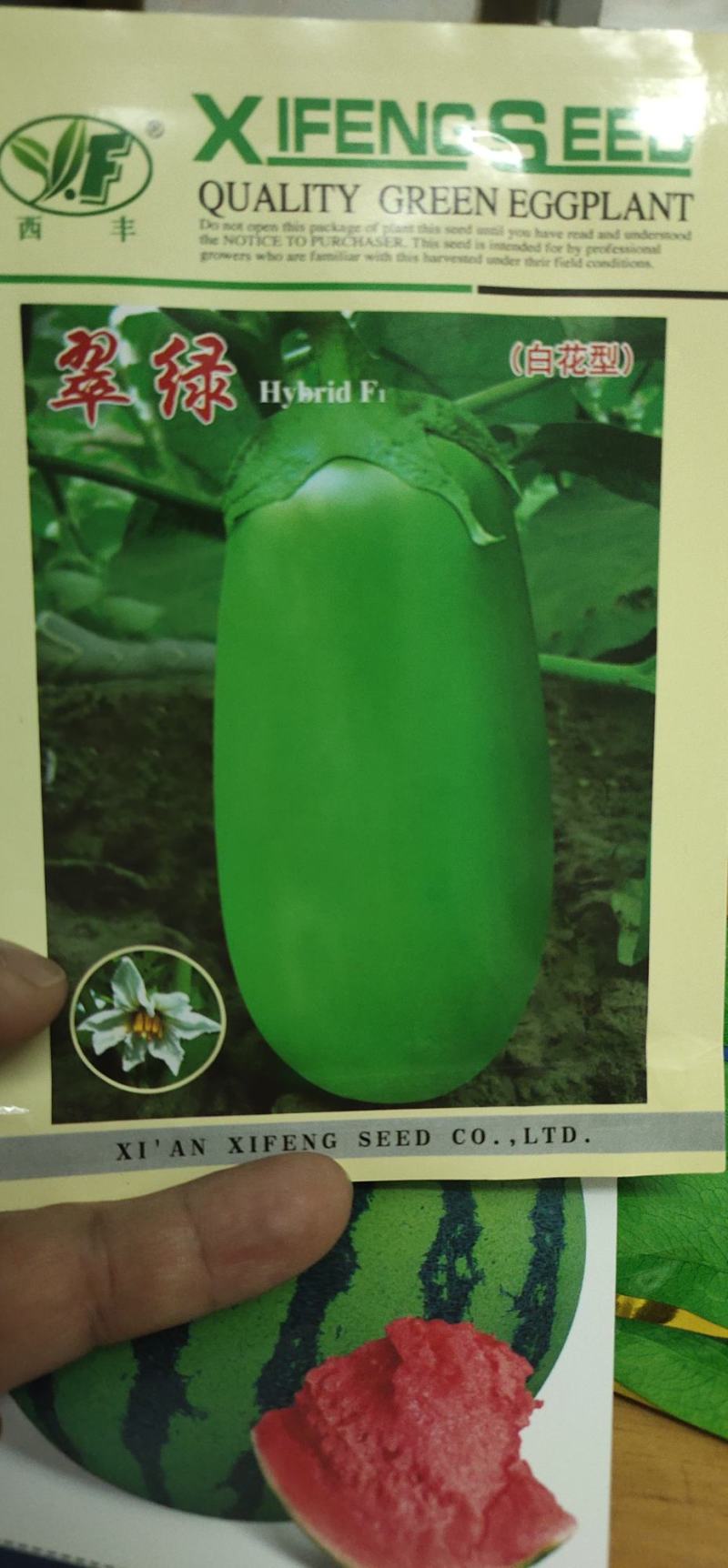 茄子种子翠绿白花型果肉白色，肉质细嫩，籽少品位佳