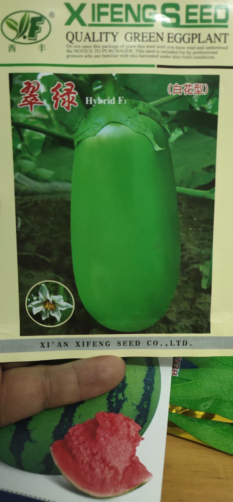 茄子种子翠绿白花型果肉白色，肉质细嫩，籽少品位佳
