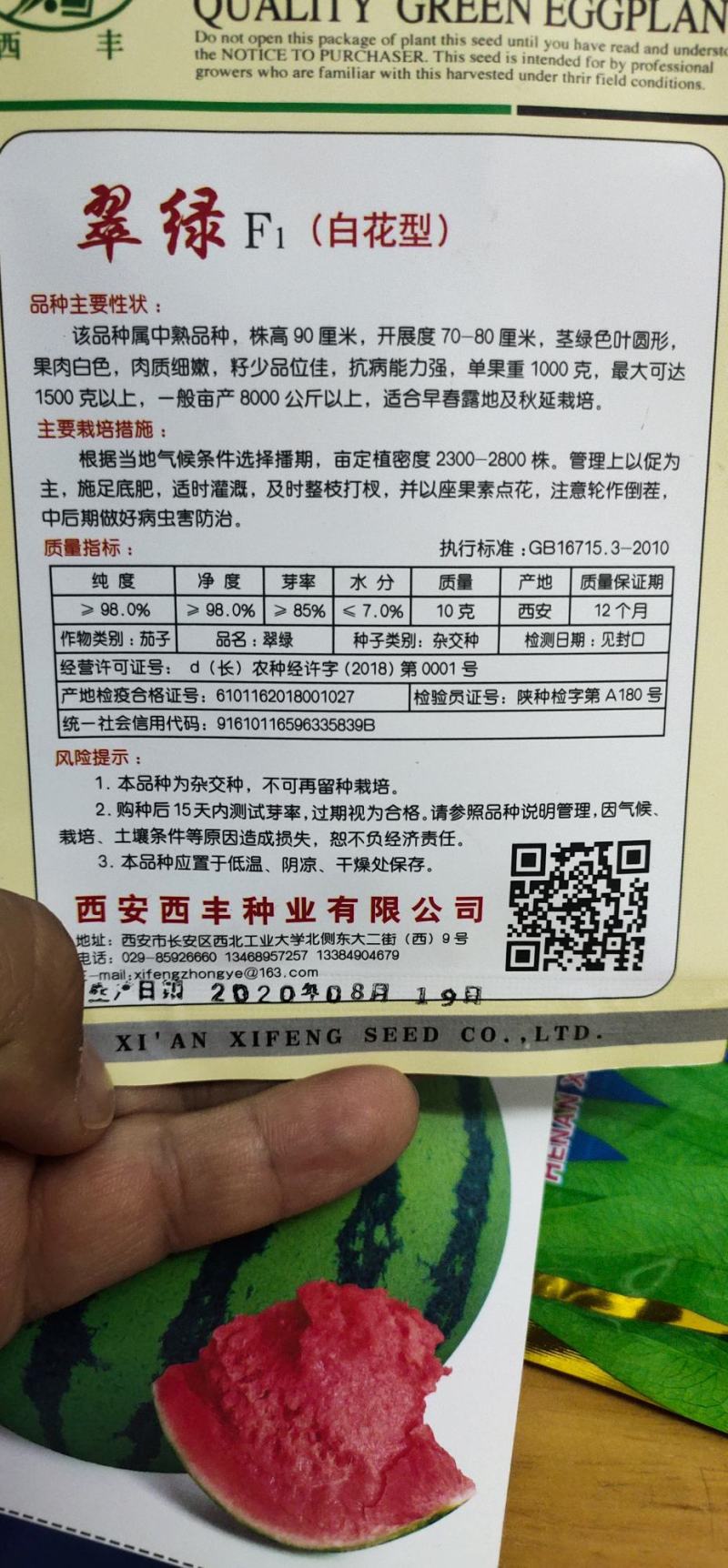 茄子种子翠绿白花型果肉白色，肉质细嫩，籽少品位佳