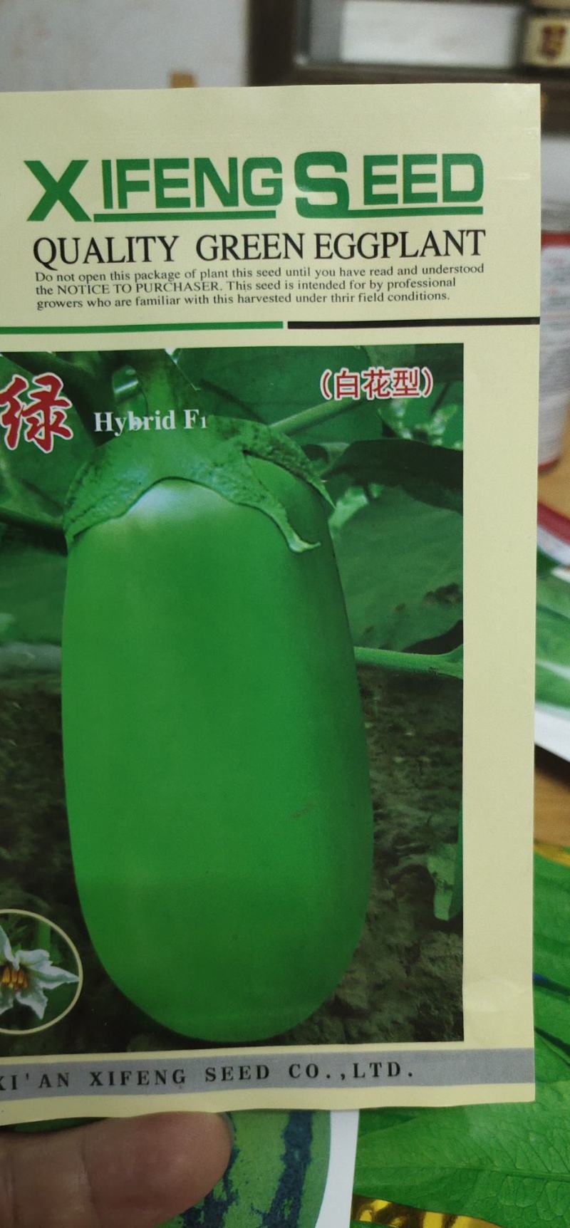 茄子种子翠绿白花型果肉白色，肉质细嫩，籽少品位佳