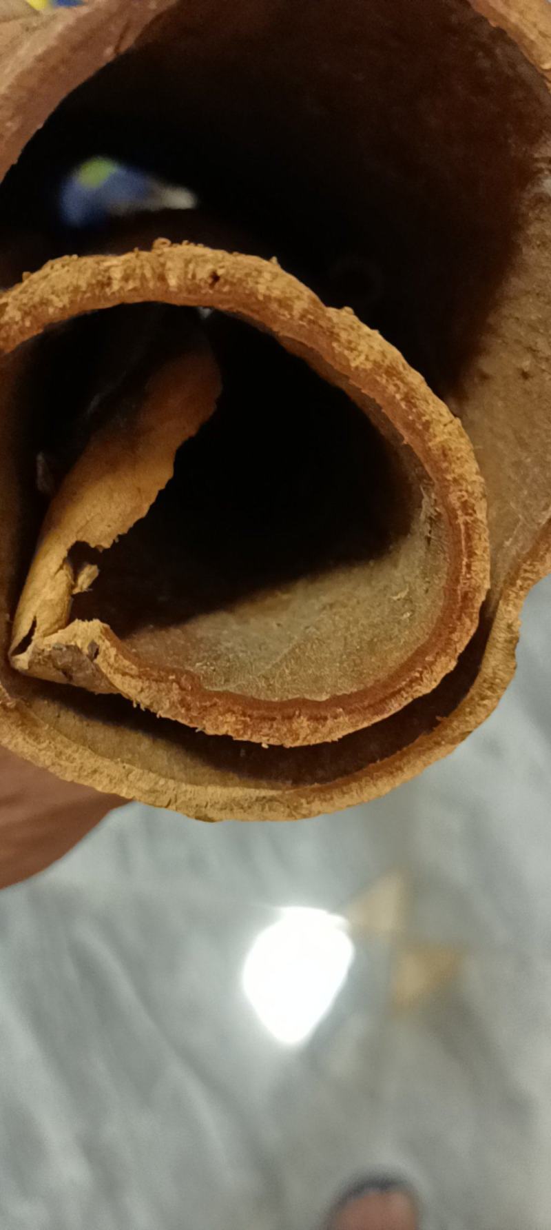 油桂老肉桂黄通辛辣香醇微甜药食同源