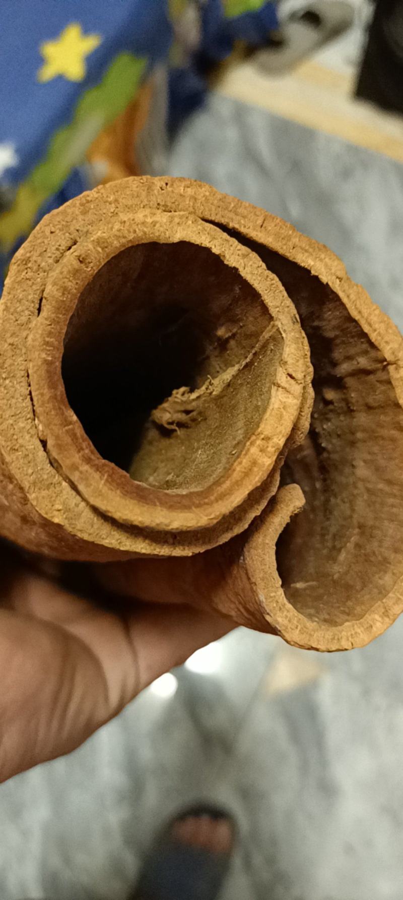 油桂老肉桂黄通辛辣香醇微甜药食同源