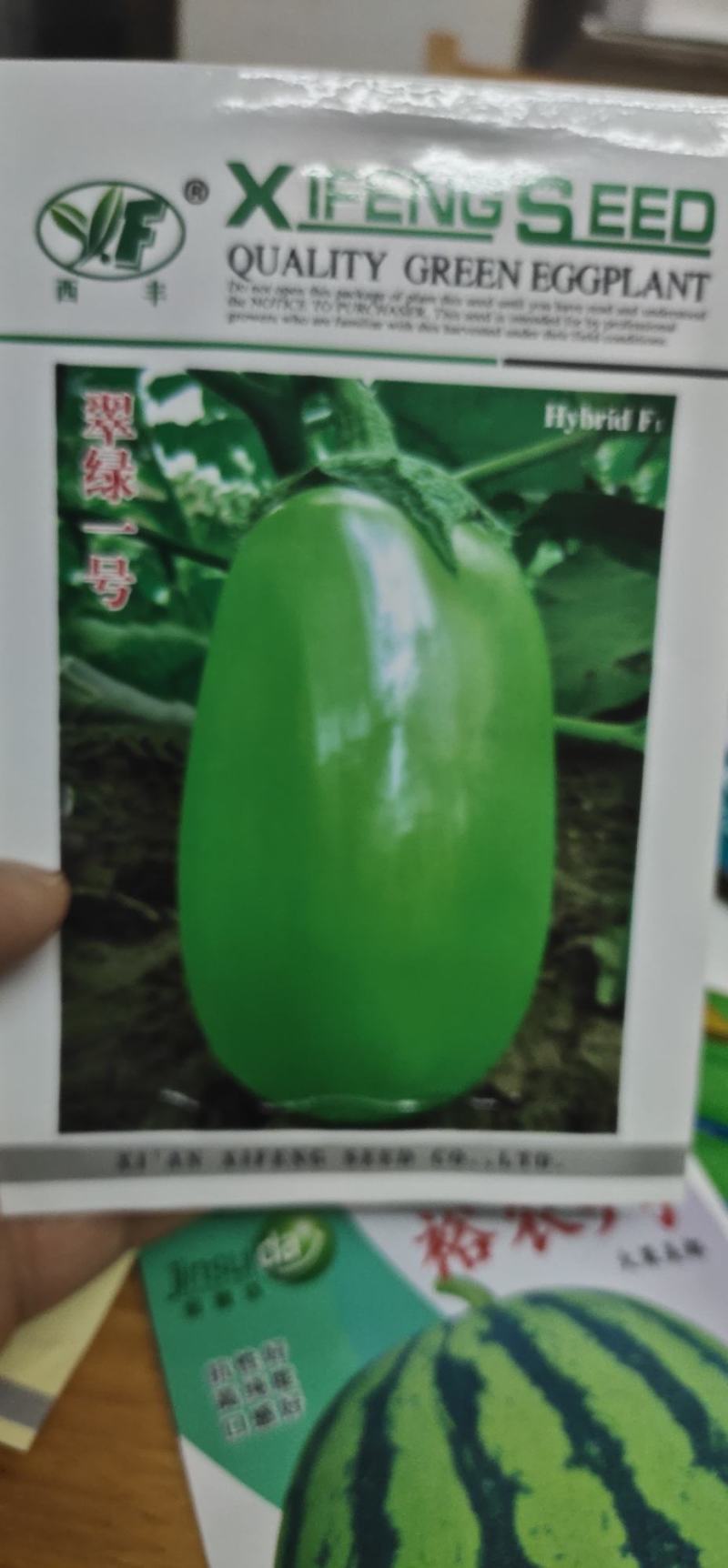 茄子种子翠绿一号抗病性强，果实罐状，皮色油绿光亮果肉