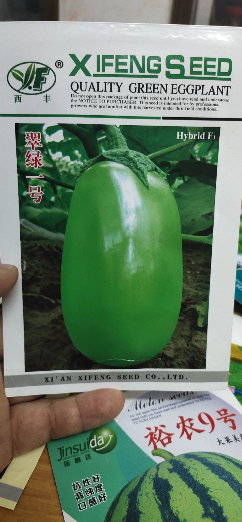 茄子种子翠绿一号抗病性强，果实罐状，皮色油绿光亮果肉