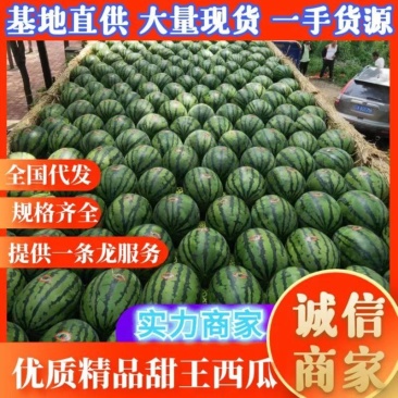 地雷西瓜，甜王西瓜，产地现摘现发瓜大红瓤薄皮甜度高