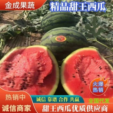 西瓜货源充足量大优惠