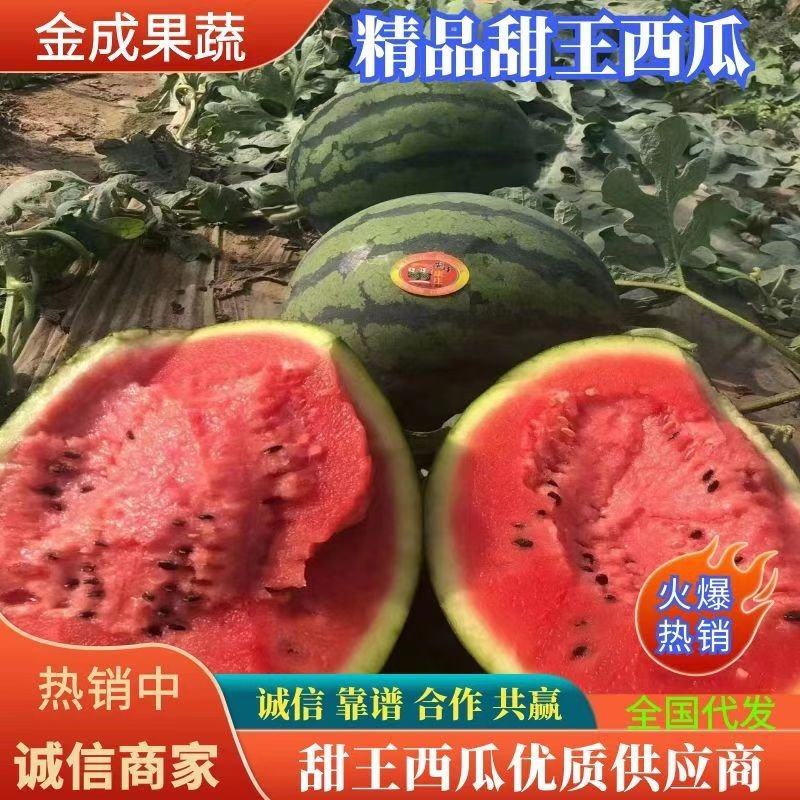 西瓜货源充足量大优惠